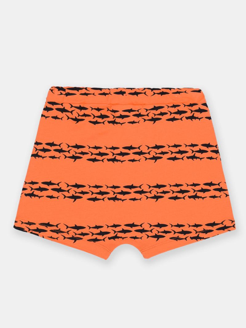 картинка Шорты для мальчика CSBB 70392-29-380 Оранжевый от магазина детских товаров ALiSa