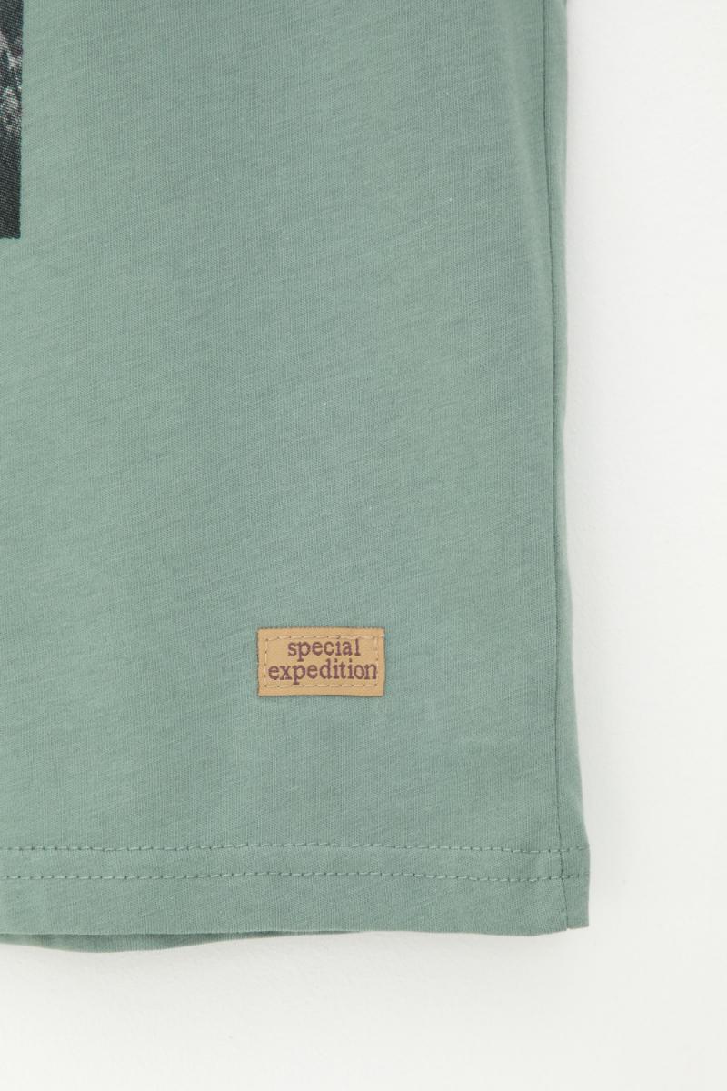 картинка Футболка для мальчика Crockid КР 302235 полынь к426 от магазина детских товаров ALiSa