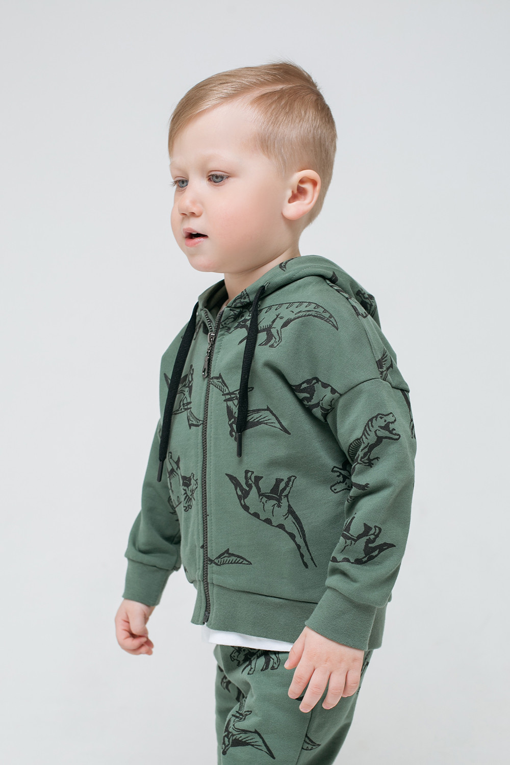 картинка Куртка для мальчика Crockid КР 301451 лесной мох, динолэнд к298 от магазина детских товаров ALiSa