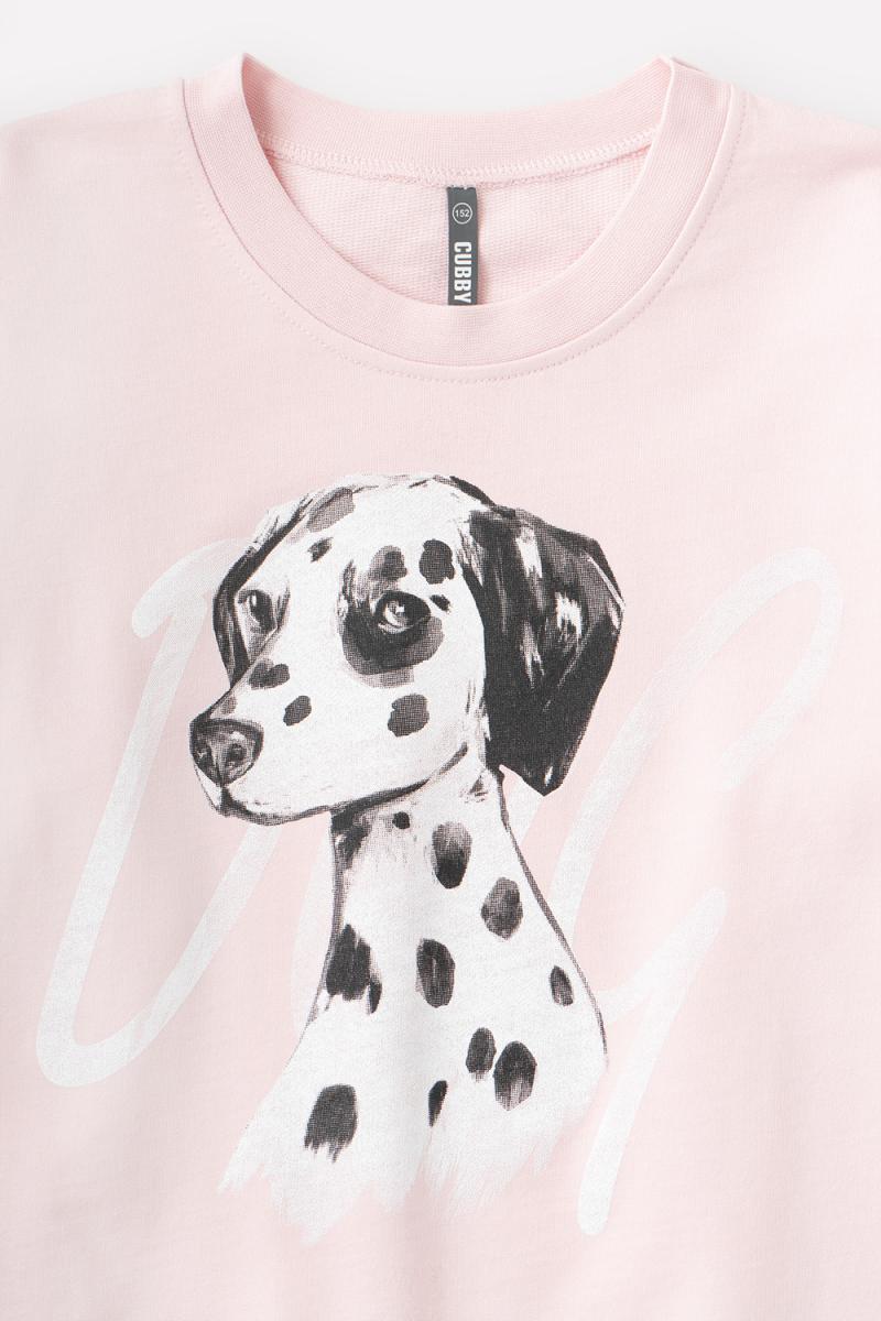 картинка Джемпер для девочки КБ 301807 персиковый румянец к65 от магазина детских товаров ALiSa