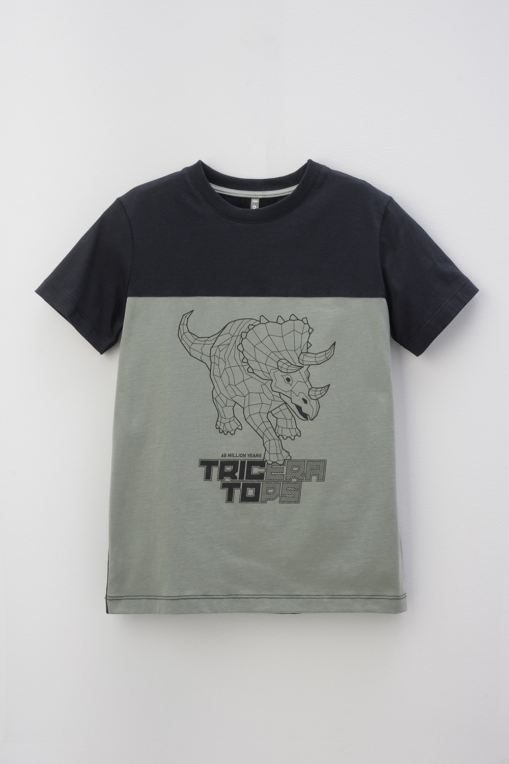 картинка Футболка для мальчика Crockid КР 302159 черный, зеленый чай к404 от магазина детских товаров ALiSa