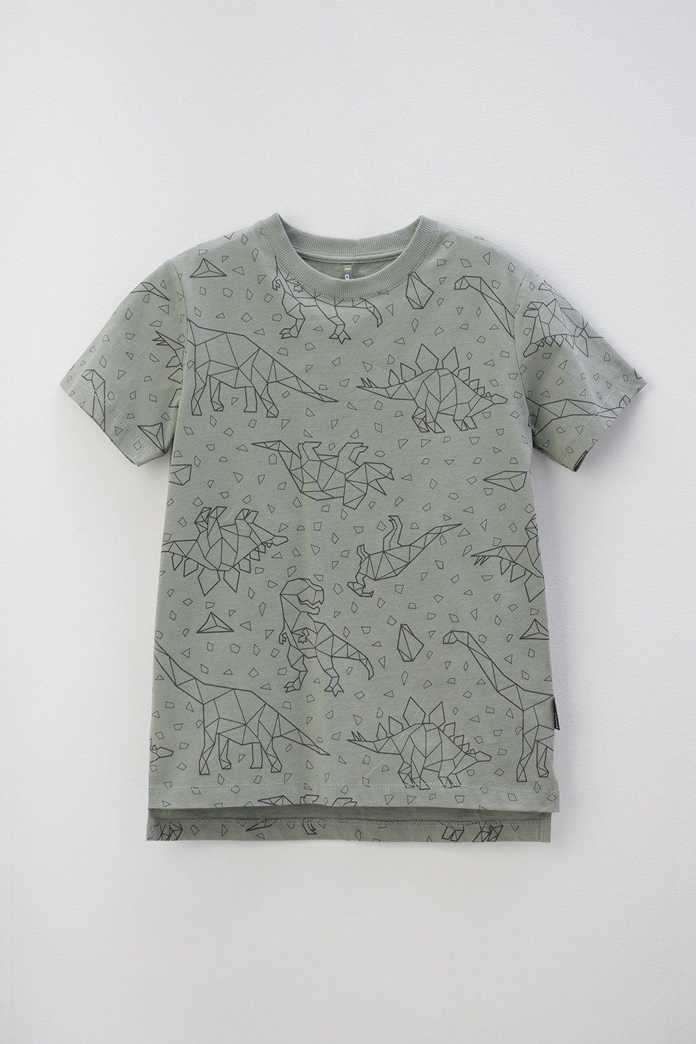 картинка Футболка для мальчика Crockid КР 302160 зеленый чай, динозавры к404 от магазина детских товаров ALiSa