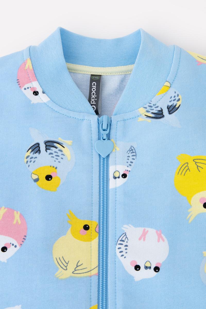 картинка Куртка для девочки Crockid КР 301670 небесный, цветные попугайчики к329 от магазина детских товаров ALiSa