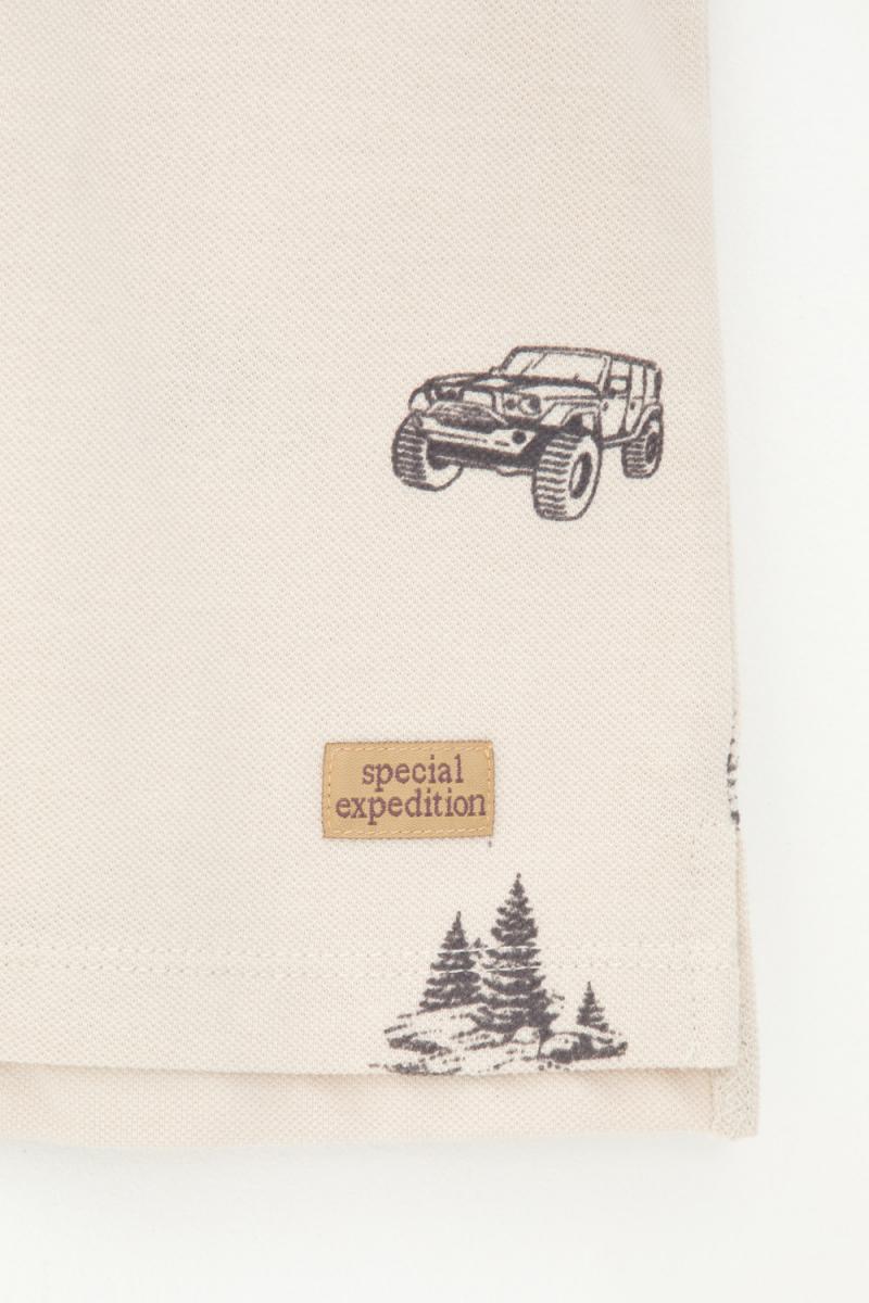 картинка Джемпер поло для мальчика Crockid КР 302232 бежевый к426 от магазина детских товаров ALiSa