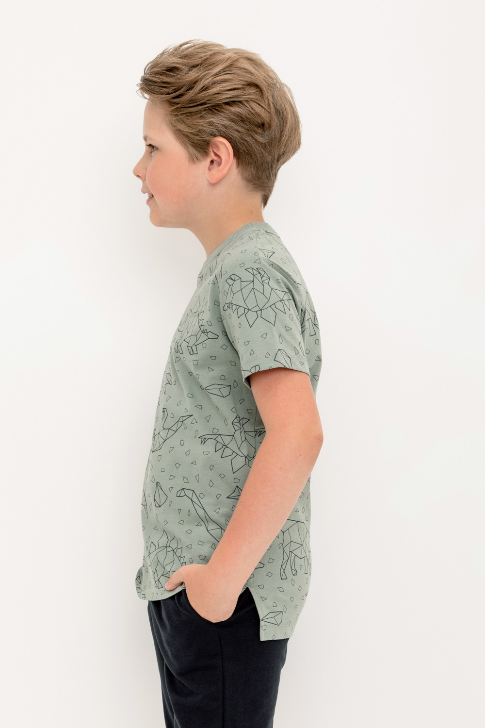 картинка Футболка для мальчика Crockid КР 302160 зеленый чай, динозавры к404 от магазина детских товаров ALiSa