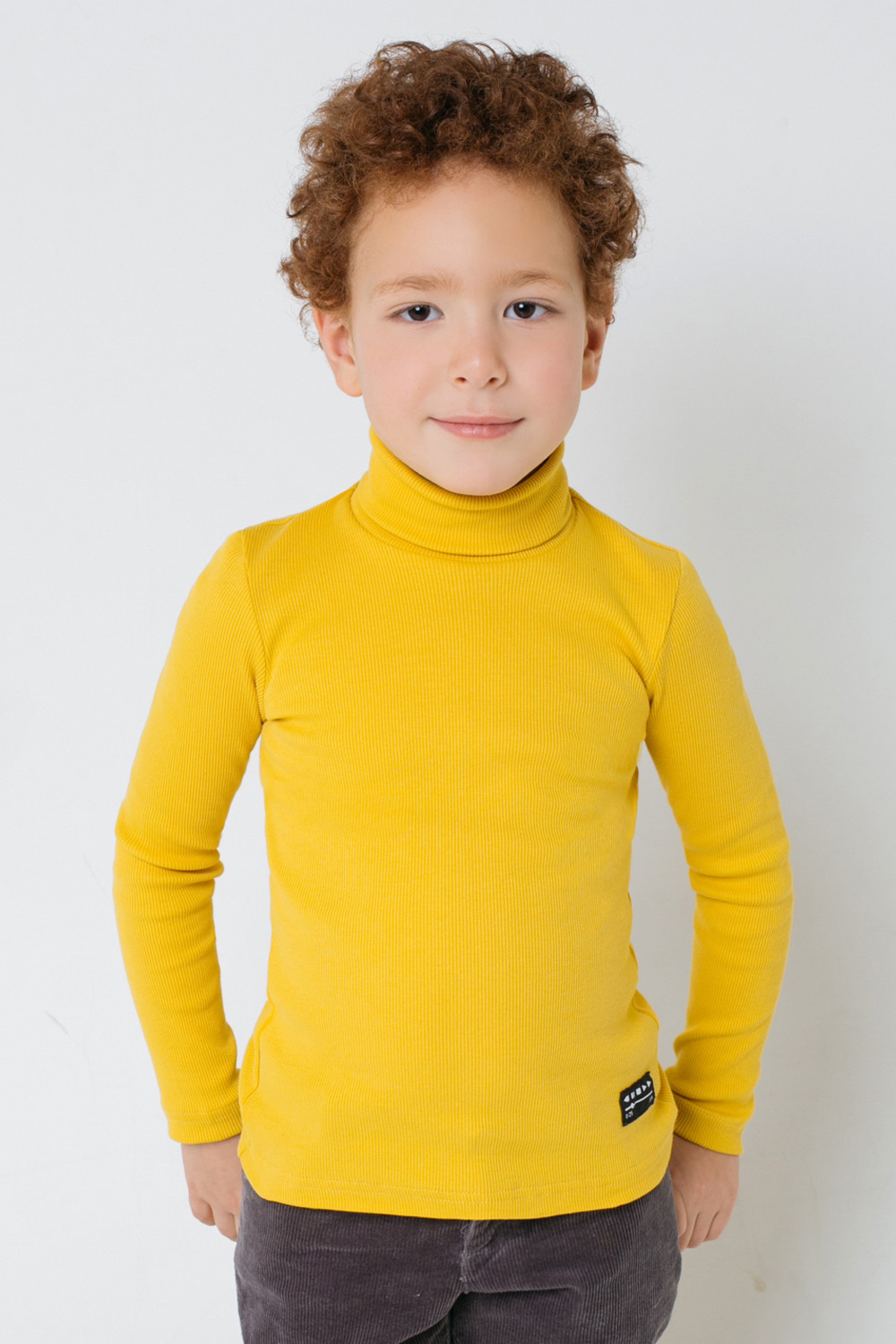 картинка Джемпер для мальчика Crockid КР 301484 горчица к308 от магазина детских товаров ALiSa
