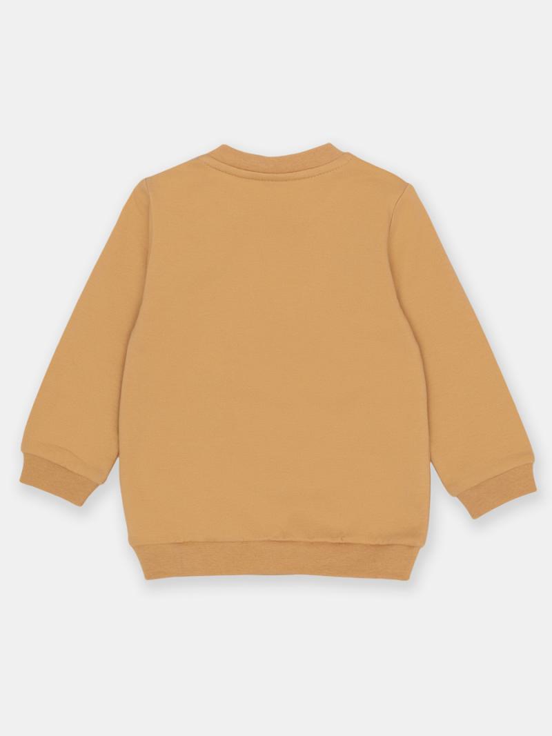 картинка Комплект для мальчика CRB CSBB 90235-31-392 Какао от магазина детских товаров ALiSa