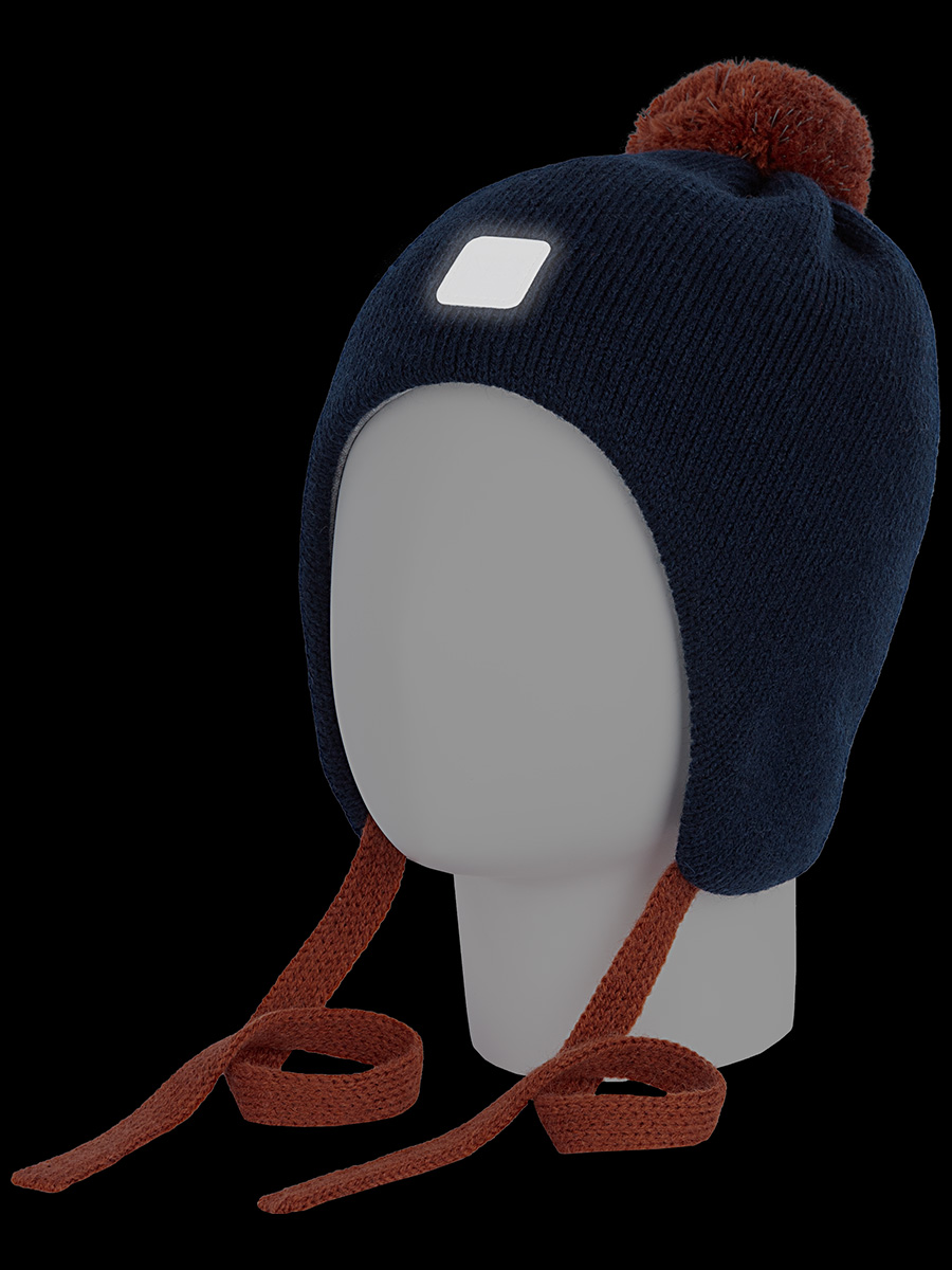 картинка Шапка утепленная для мальчика NIKASTYLE 11з13123 неви от магазина детских товаров ALiSa