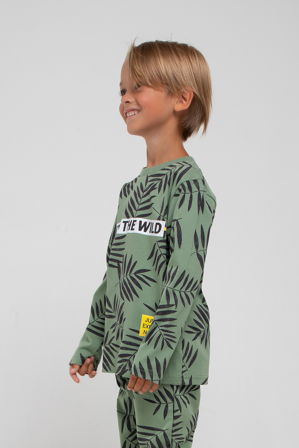 картинка Джемпер для мальчика Crockid К 301621 зеленый камень, пальмовые листья к1279 от магазина детских товаров ALiSa
