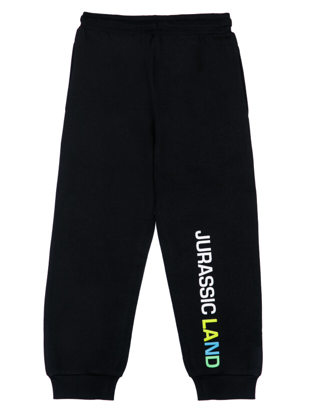 картинка Брюки трикотажные для мальчика PL 32312099 п202 от магазина детских товаров ALiSa