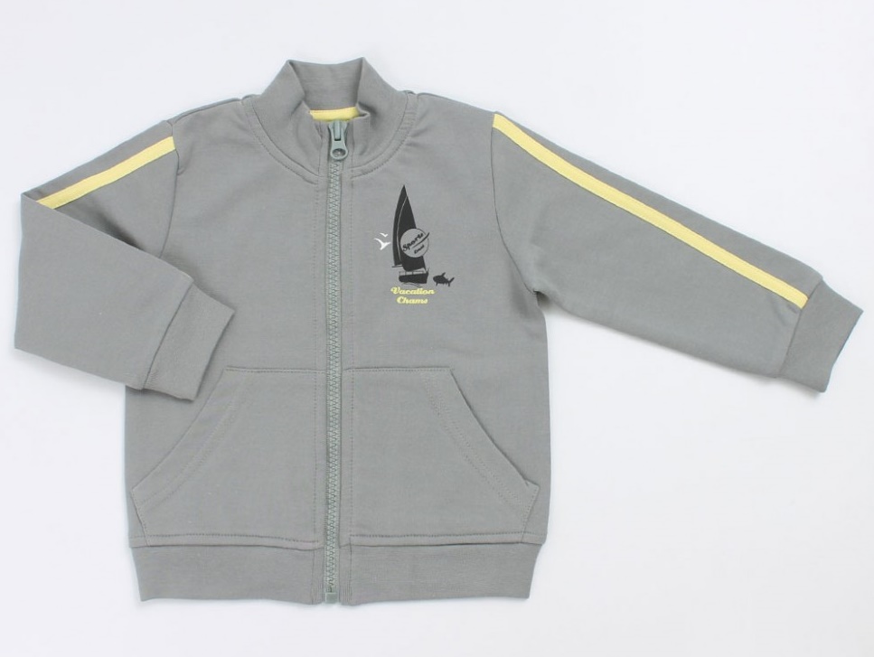 картинка Куртка для мальчика Crockid К 3964 серый к58 от магазина детских товаров ALiSa