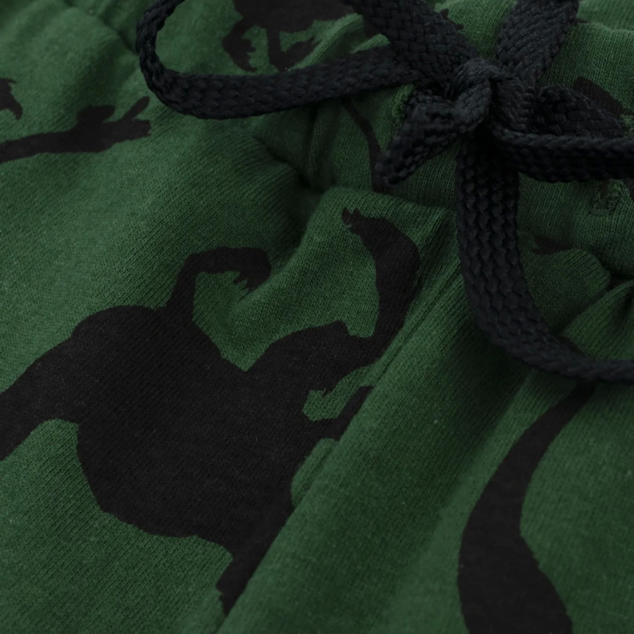 картинка Шорты для мальчика YLA 0613102601 Темно-зеленый динозавры от магазина детских товаров ALiSa