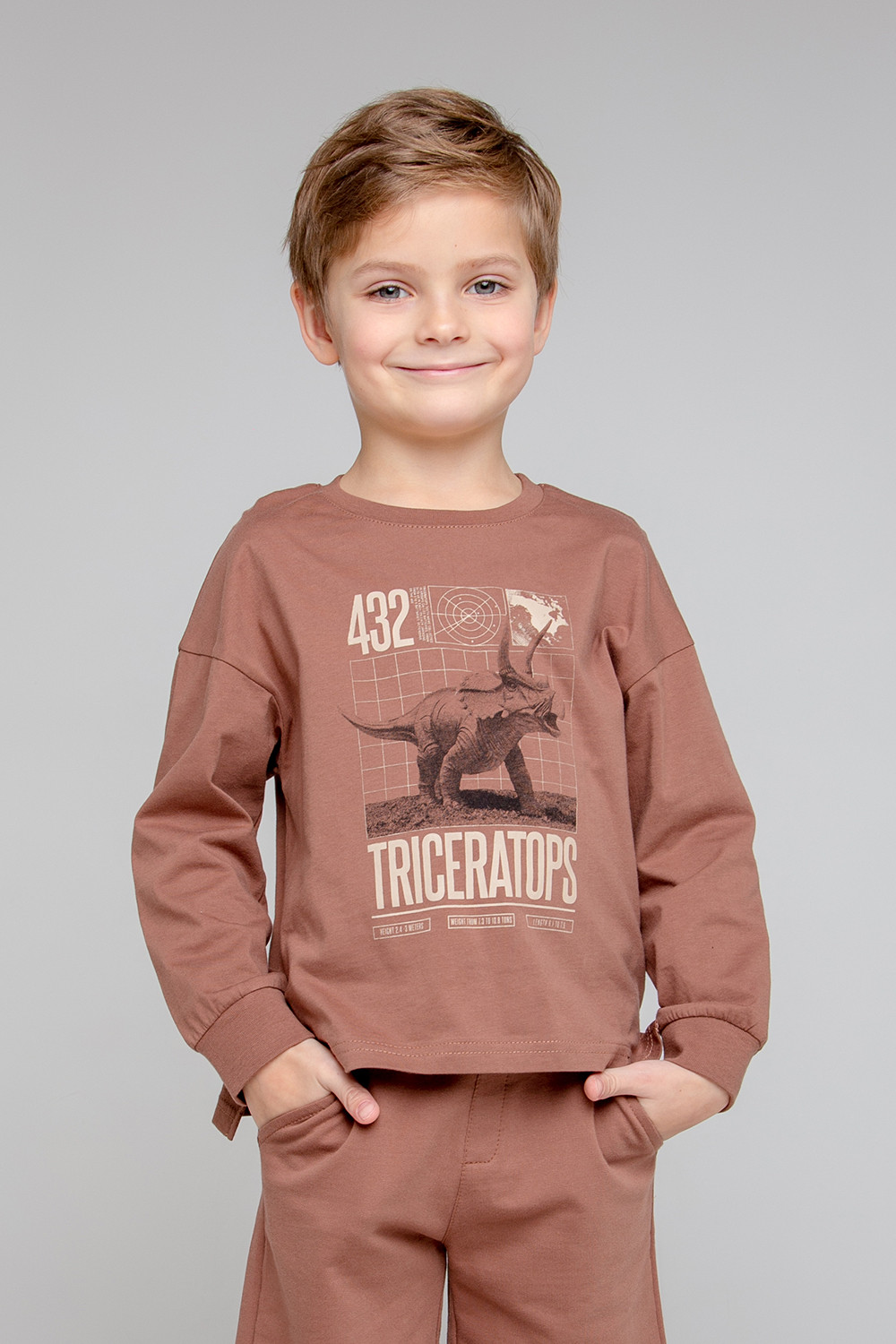 картинка Джемпер для мальчика Crockid КР 301860 коричневый к344 от магазина детских товаров ALiSa