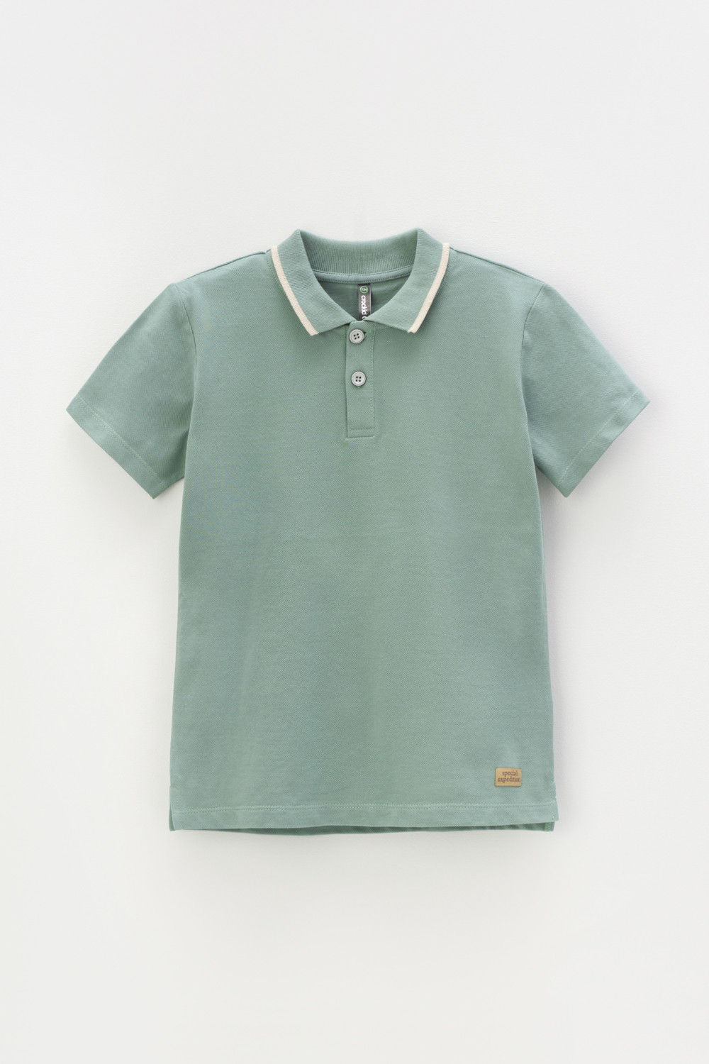 картинка Джемпер поло для мальчика Crockid КР 302233 полынь к426 от магазина детских товаров ALiSa