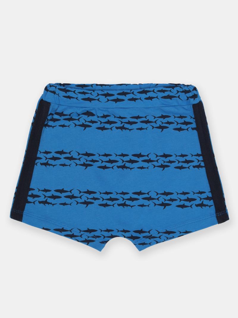 картинка Шорты для мальчика CSBB 70392-42-380 Синий от магазина детских товаров ALiSa