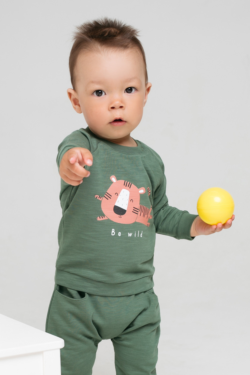 картинка Джемпер для мальчика Crockid К 300724 лесной мох (звери африки) от магазина детских товаров ALiSa