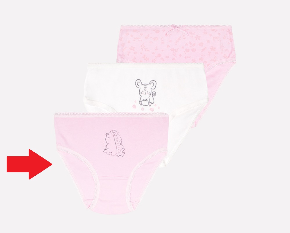 картинка Трусы для девочки Crockid К 1909-3 цветочный луг (ежик) от магазина детских товаров ALiSa