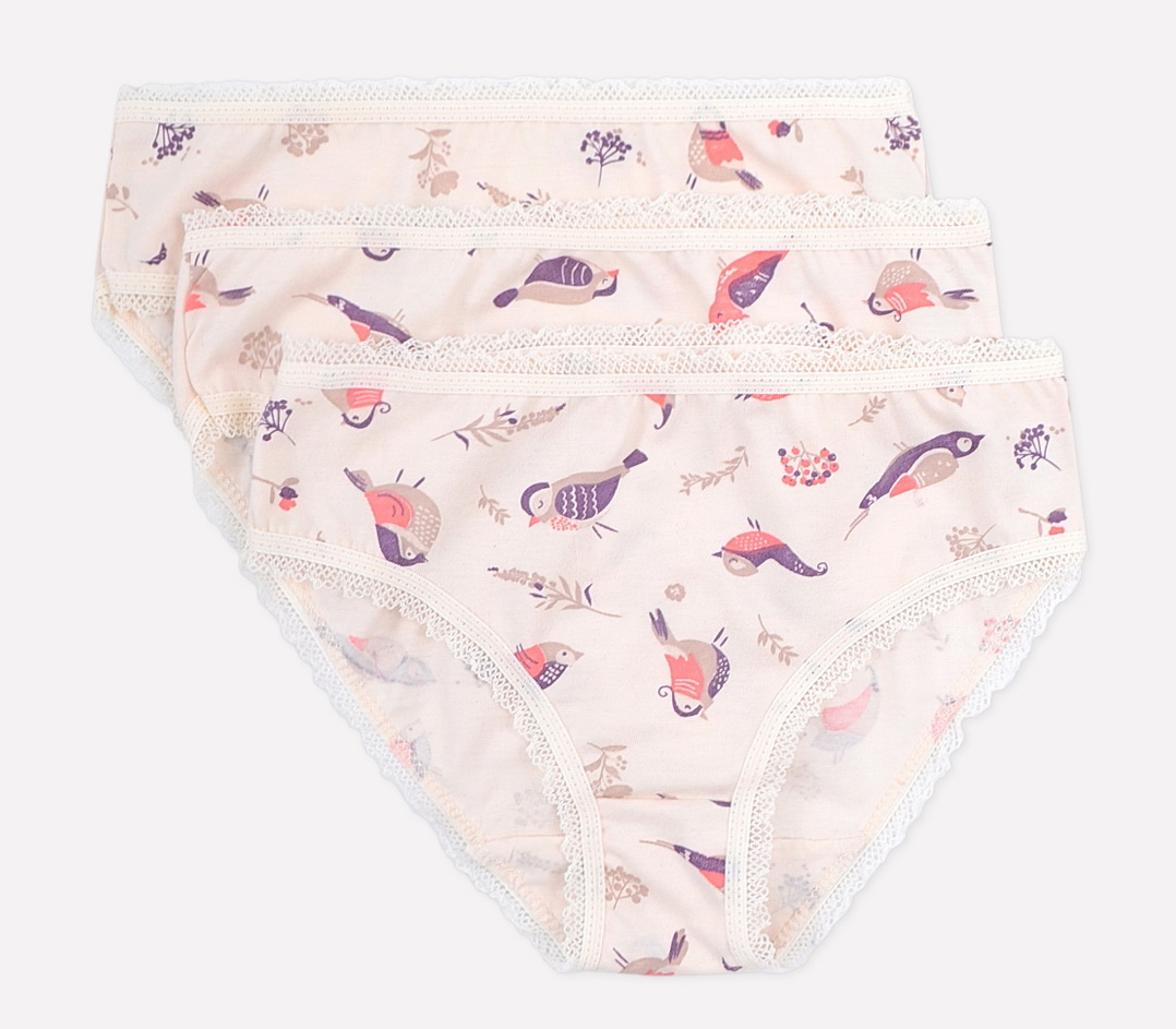 картинка Трусы для девочки Crockid К 1931-3 снегири на сливках от магазина детских товаров ALiSa