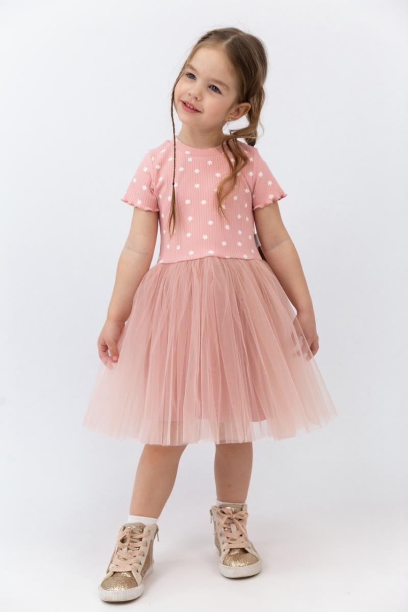 картинка Платье для девочки Baby Boom С259/2-К Мелкие цветоч на пудре + пудра от магазина детских товаров ALiSa