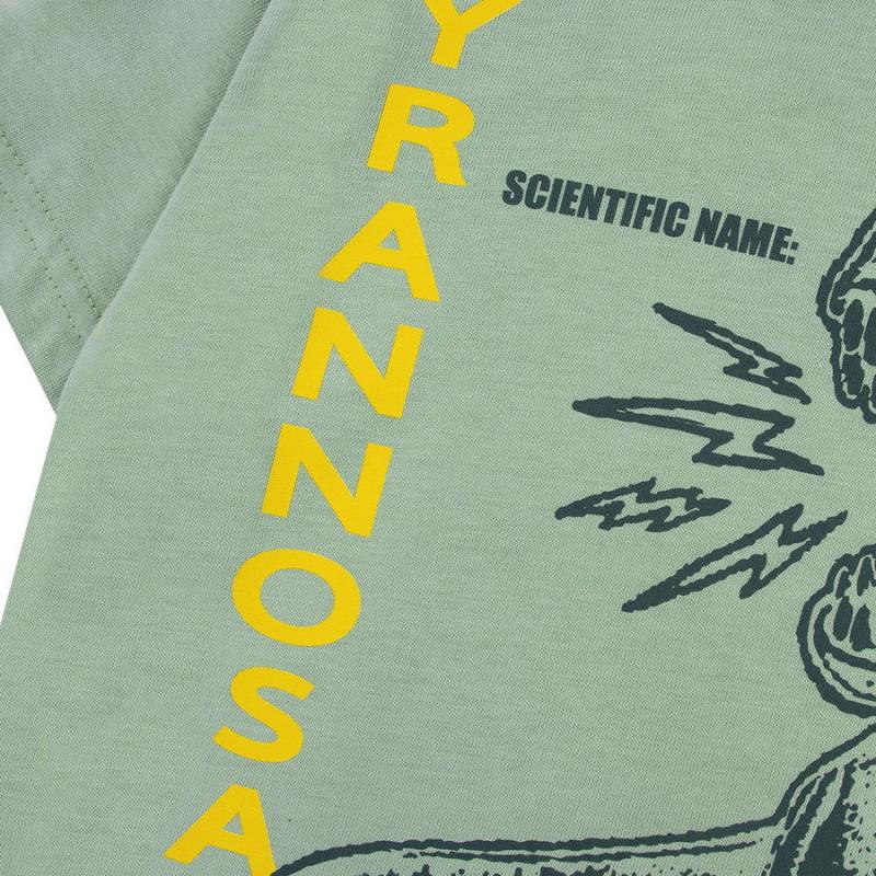 картинка Комплект для мальчика Youlala 7634100207 Оливковый от магазина детских товаров ALiSa