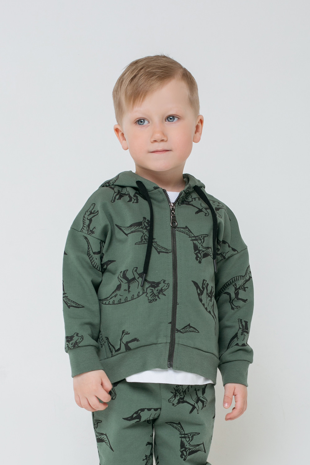 картинка Куртка для мальчика Crockid КР 301451 лесной мох, динолэнд к298 от магазина детских товаров ALiSa