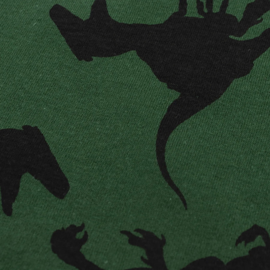 картинка Шорты для мальчика YLA 0613102601 Темно-зеленый динозавры от магазина детских товаров ALiSa