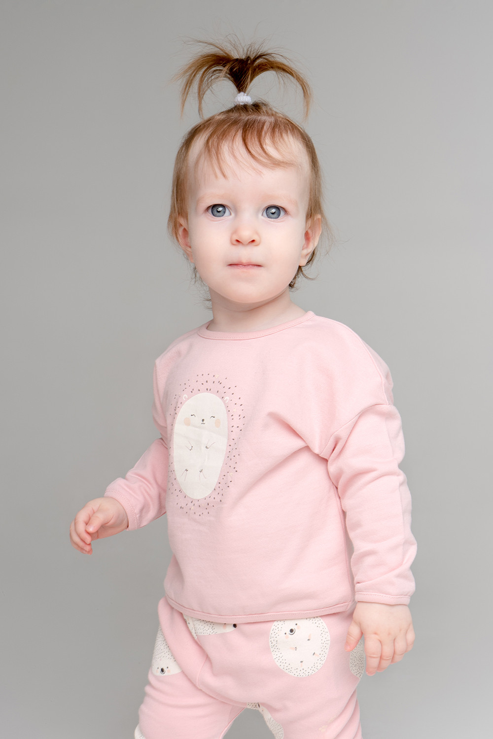 картинка Джемпер для девочки Crockid К 301951 розовый жемчуг (ёжики) я113 от магазина детских товаров ALiSa