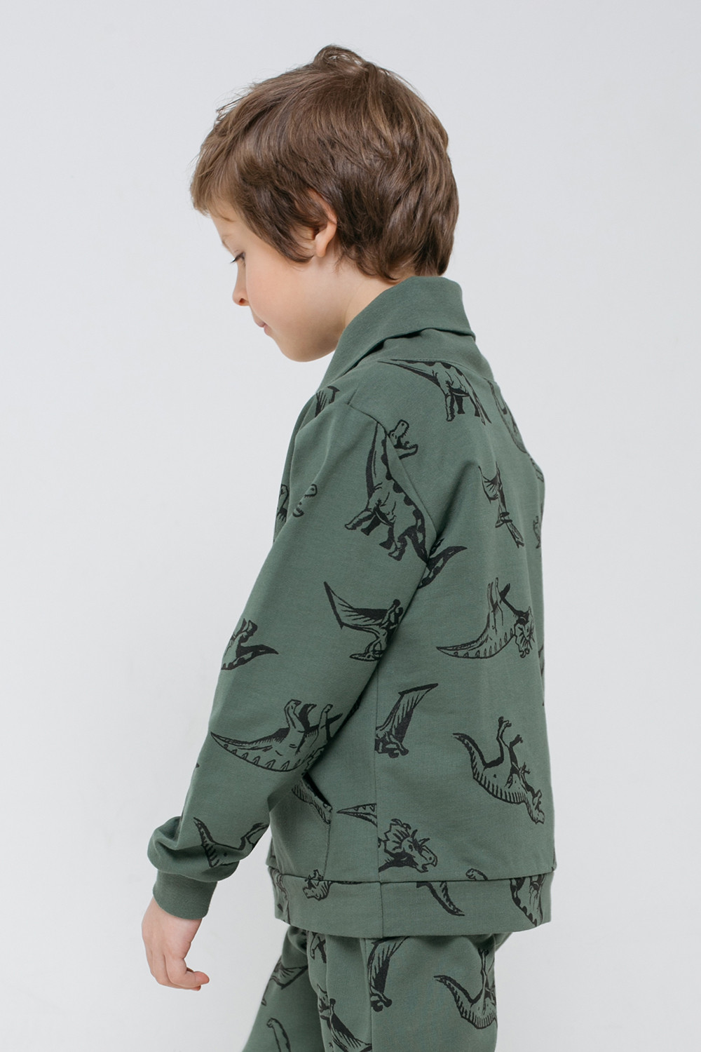 картинка Джемпер для мальчика Crockid КР 301458 лесной мох, динолэнд к300 от магазина детских товаров ALiSa