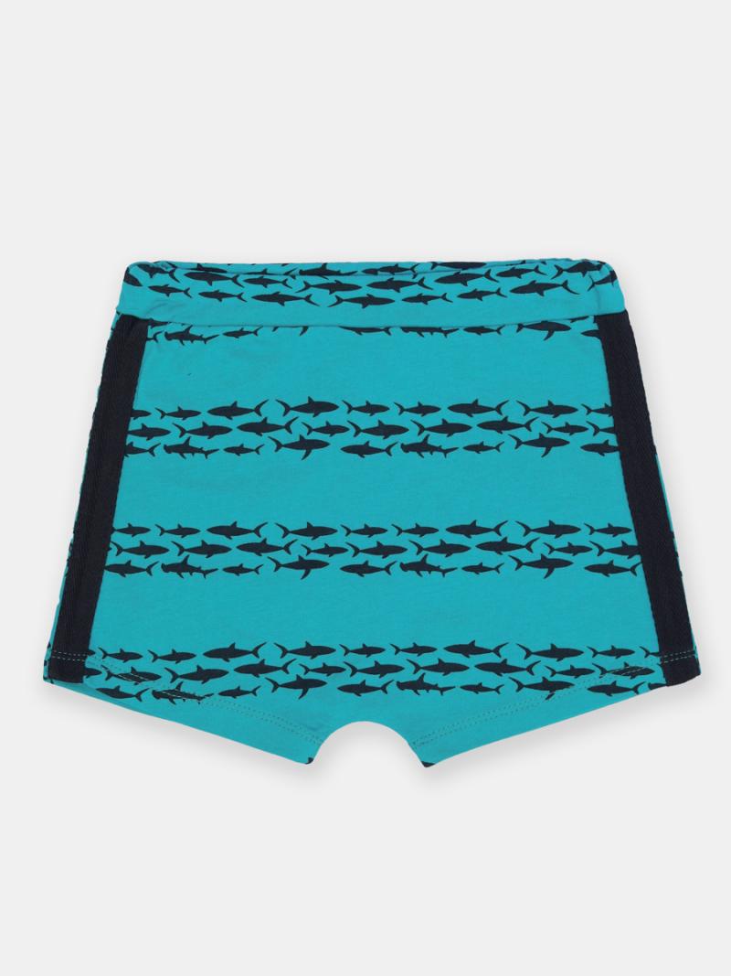 картинка Шорты для мальчика CSBB 70392-40-380 Бирюзовый от магазина детских товаров ALiSa