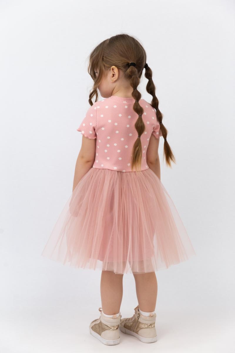 картинка Платье для девочки Baby Boom С259/2-К Мелкие цветоч на пудре + пудра от магазина детских товаров ALiSa