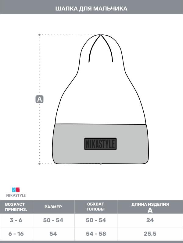 картинка Шапка зимняя для мальчика NIKASTYLE 11з16124 Хаки от магазина детских товаров ALiSa