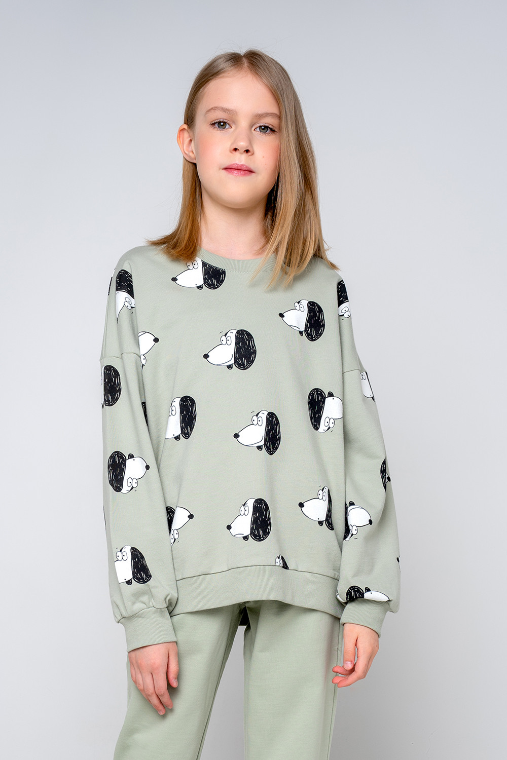 картинка Джемпер для девочки КБ 301961 темно-оливковый, собачки от магазина детских товаров ALiSa