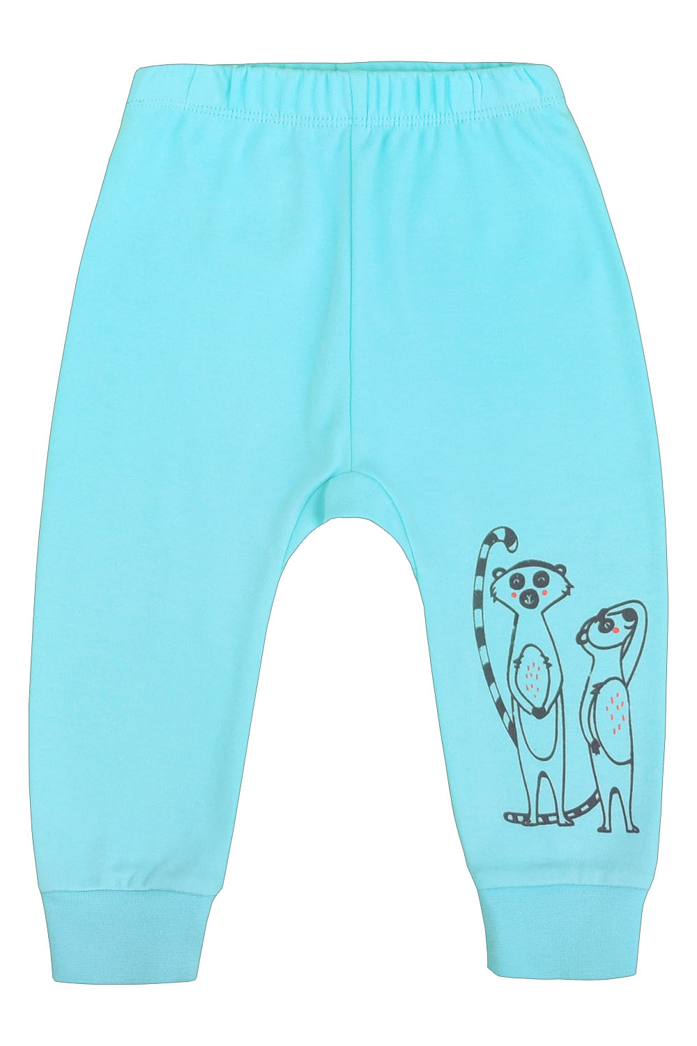 картинка Брюки для мальчика Crockid К 4522 светлая аква2 от магазина детских товаров ALiSa