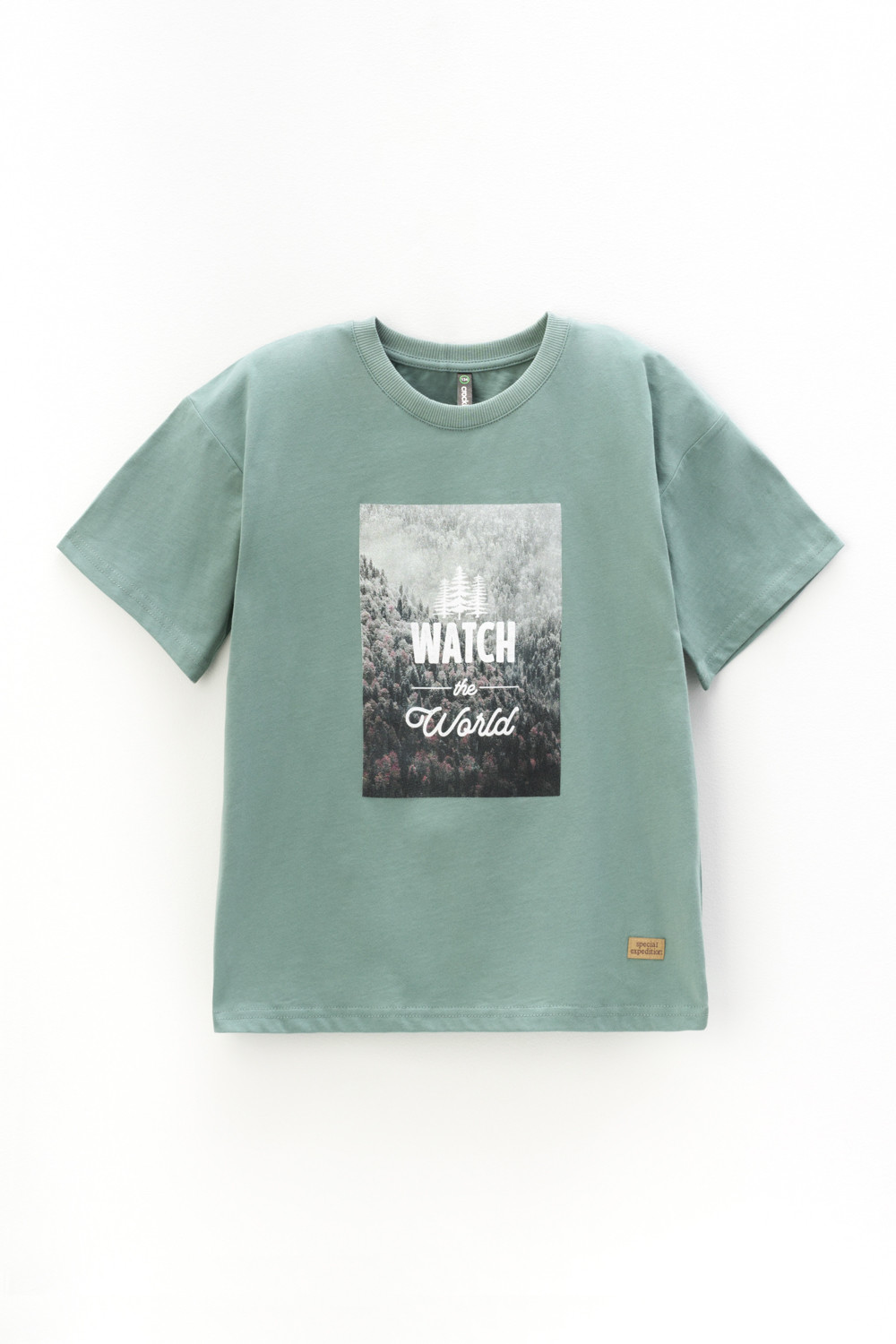 картинка Футболка для мальчика Crockid КР 302235 полынь к426 от магазина детских товаров ALiSa