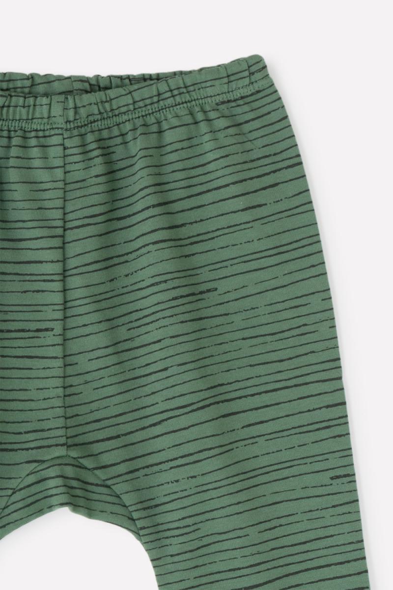 картинка Брюки для мальчика Crockid К 4594 лесной мох, полоска от магазина детских товаров ALiSa