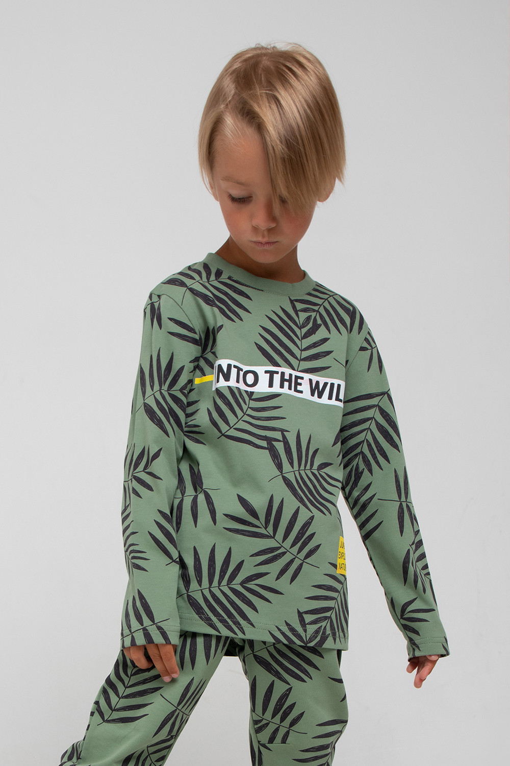 картинка Джемпер для мальчика Crockid К 301621 зеленый камень, пальмовые листья к1279 от магазина детских товаров ALiSa