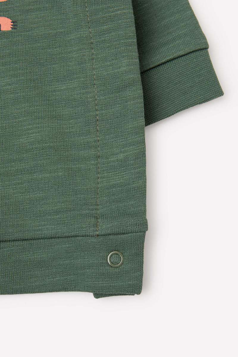 картинка Джемпер для мальчика Crockid К 300724 лесной мох (звери африки) от магазина детских товаров ALiSa