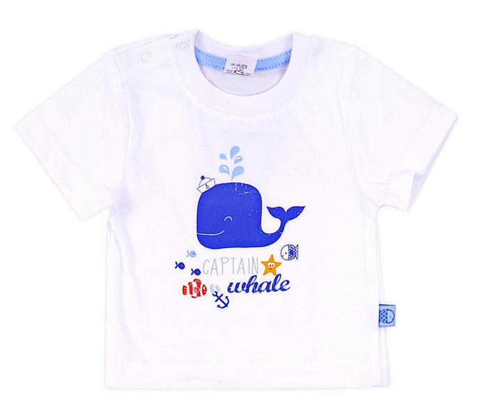картинка Футболка для мальчика Crockid К 3506 белый (кит) от магазина детских товаров ALiSa