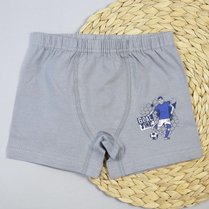 Трусы боксеры для мальчика DR 3352-3341 Серый GOAL