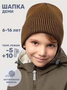 Шапка для мальчика NIKASTYLE 11м11125 Кэмел черный