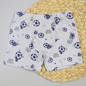 Трусы боксеры для мальчика DR 3352-3341 Светло-серый Мячи