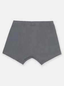 Трусы-боксеры для мальчика CSJB 10156-48 Темно-серый