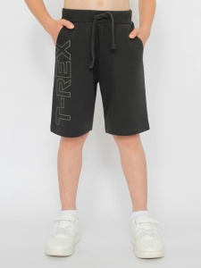 Шорты для мальчика CWKB 70444-48-387 Темно-серый