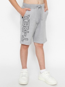 Шорты для мальчика CWKB 70444-11-387 Серый меланж