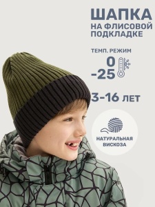 Шапка зимняя для мальчика NIKASTYLE 11з16125 Хаки Черный